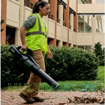 Воздуходувка Greenworks GD82ABII (без АКБ) картинка 10